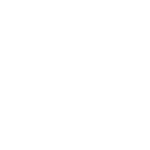 IDEA TO ACTION